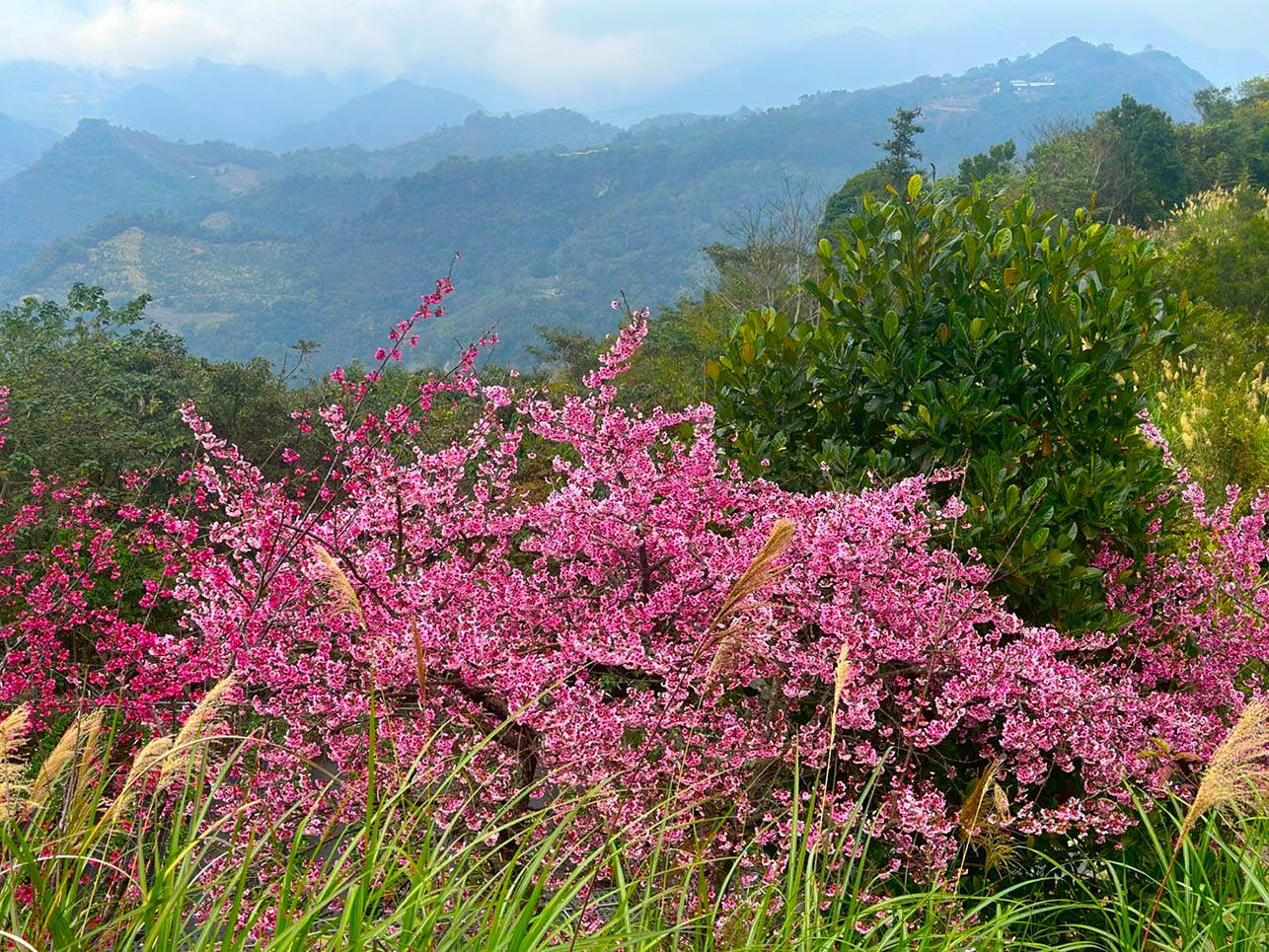 ALL_room_25L13_dXemfyh7zv