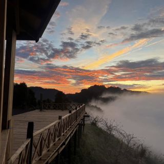 山頂的雲海季