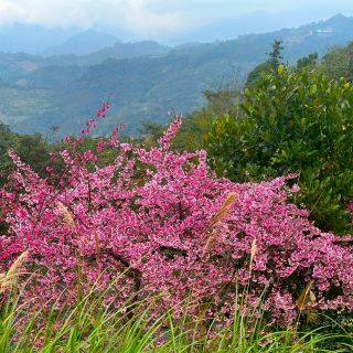 ALL_room_25L13_dXemfyh7zv